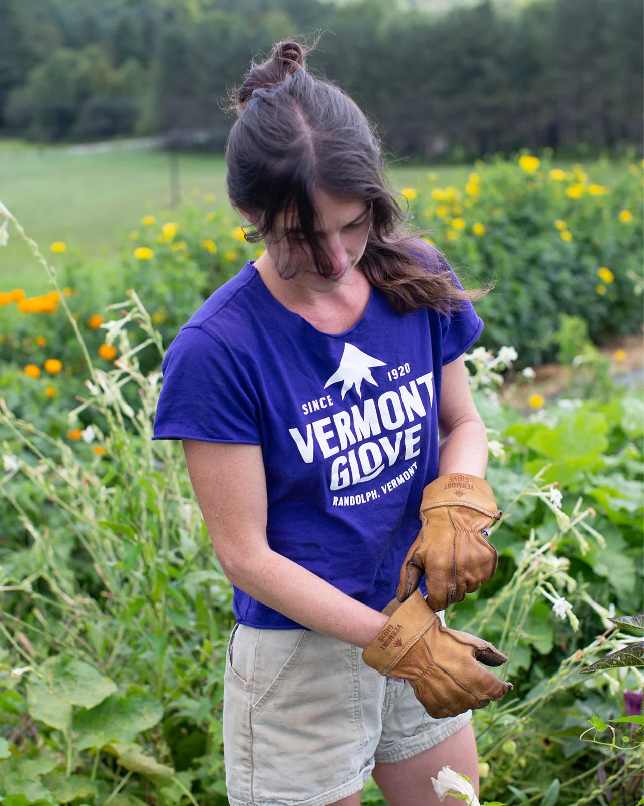 Tee-shirt Purple VERMONT GLOVE - 